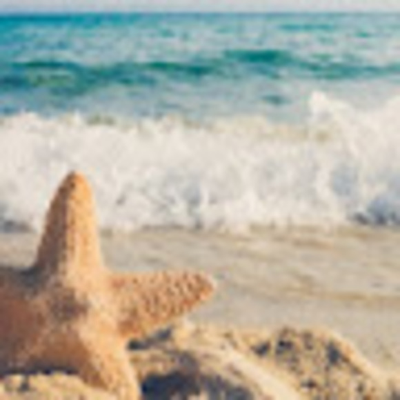 Meet your Posher, Paige - Picture 1 of 1